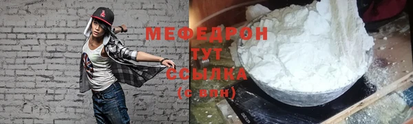 spice Богданович