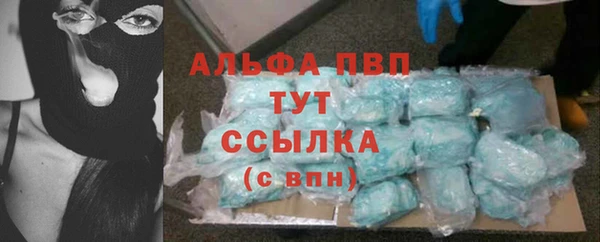 spice Богданович