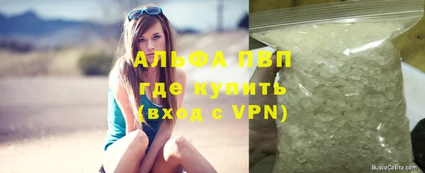 spice Богданович