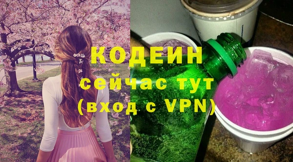 spice Богданович