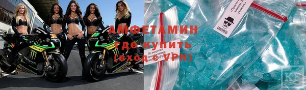 spice Богданович