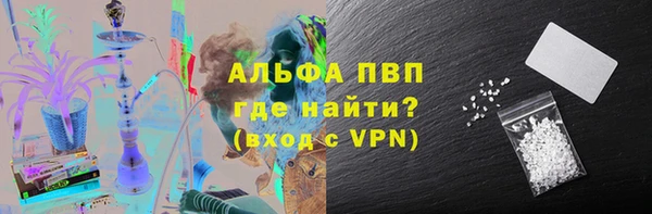 spice Богданович
